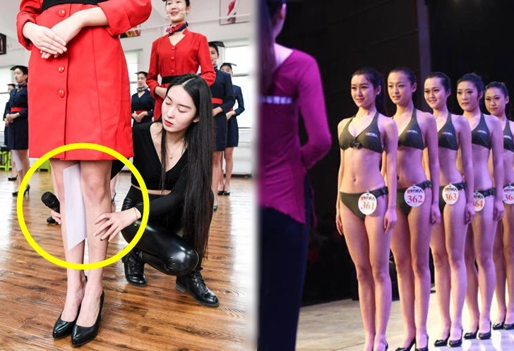 99FE403E5DFA1D7317EA45