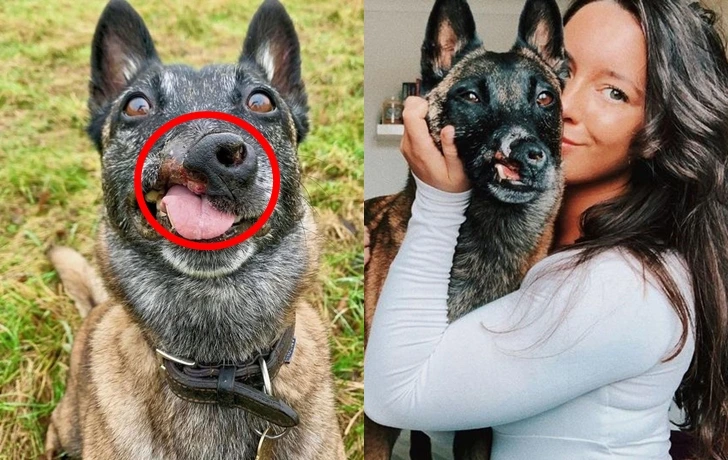 99F2ED496012134A0C8CF8