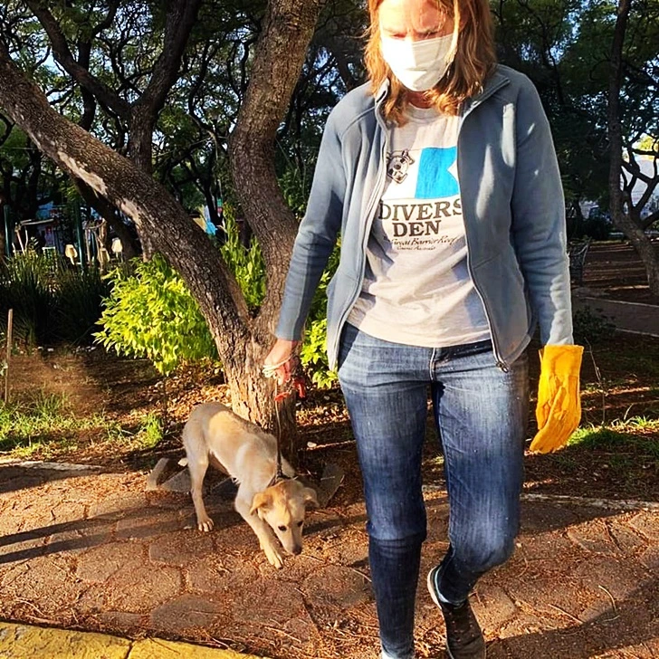 992045375FDBE76209F03D