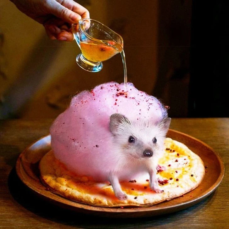 9969AB385F222EC321E304