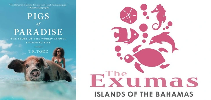 993E52365CD96F990F3A8F