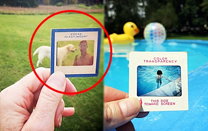 998F03396013E4BD1B5F5A