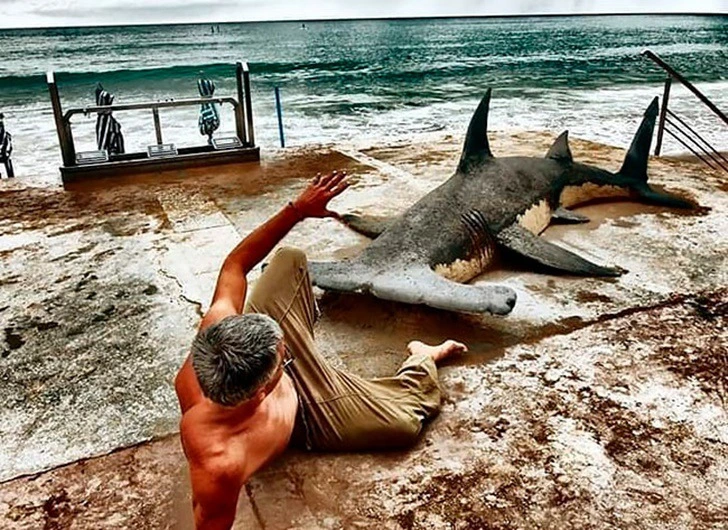 9960B8375F30C06831AF46