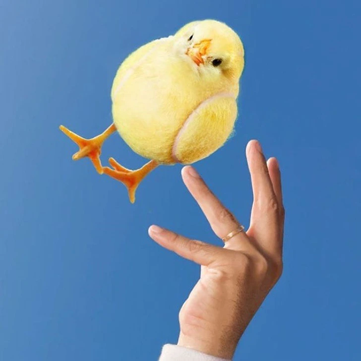 996828345F222EC7234D9D