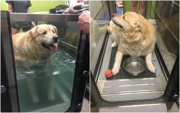 99F79C465F3BD52827AFDA