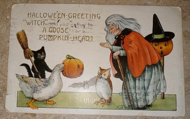 998D594C5F5FF36F13A87E