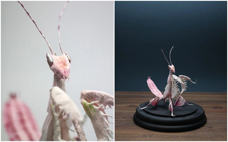 992D51385D2734C60F7B75