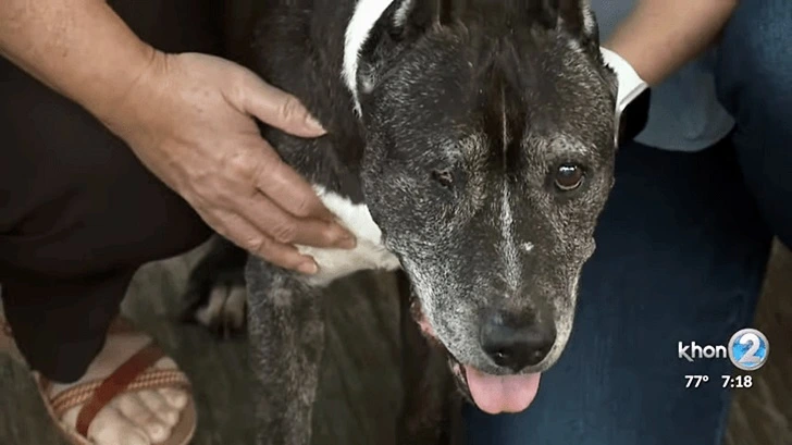 99E8FB446007C1371491F6