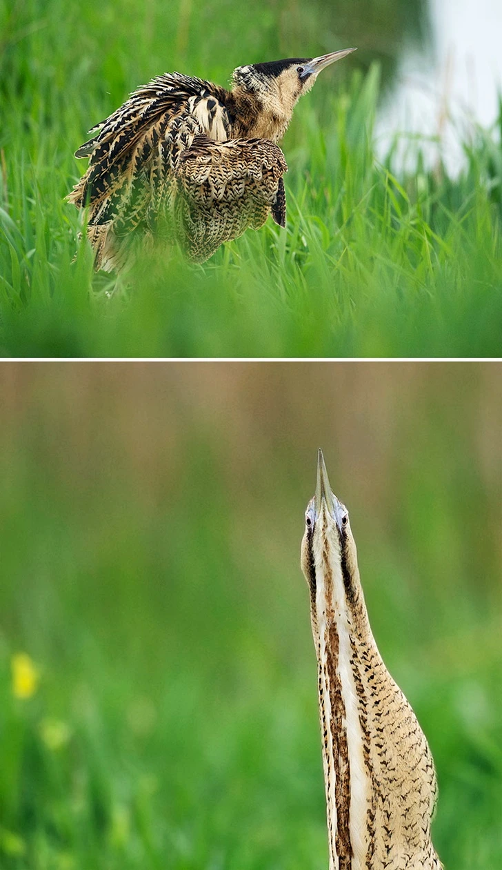 998F184E5FF655F6081F63