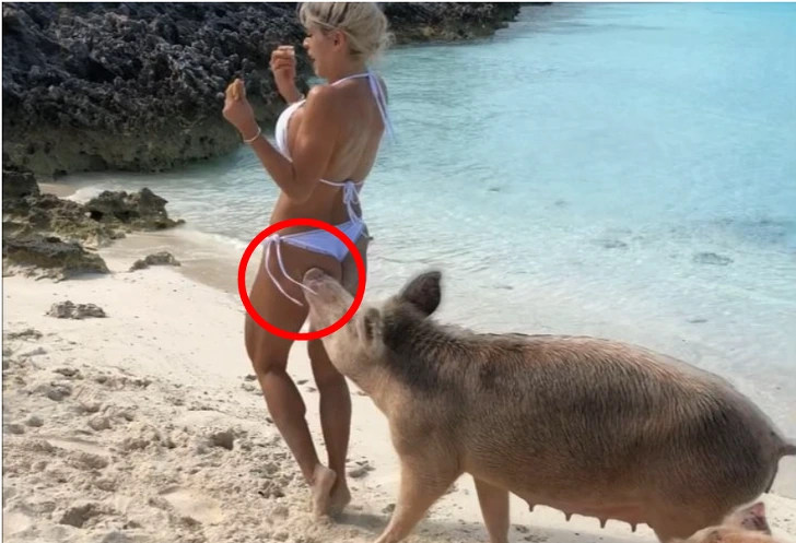 9904E3405CD9739A0F0561