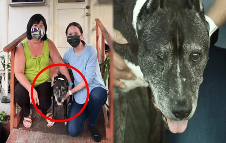 9974FD436007C1B515533C