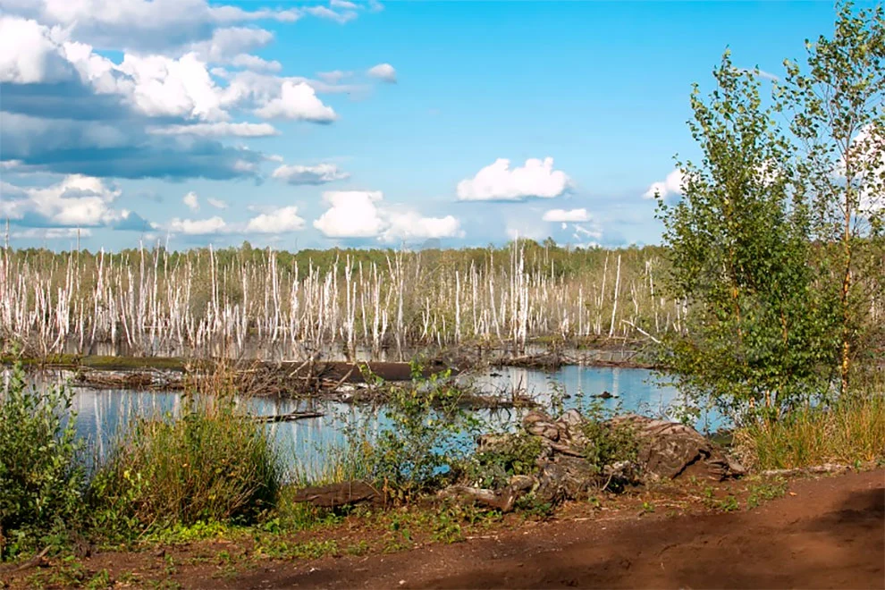 9953093C5F51CF05104B95