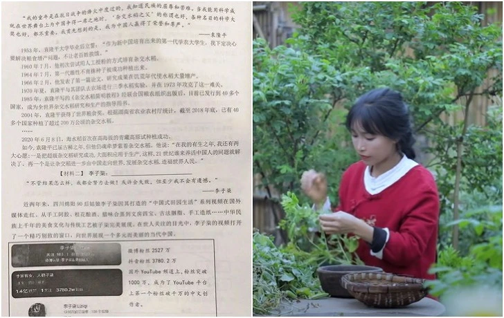 99C6AE4C5F196568111215