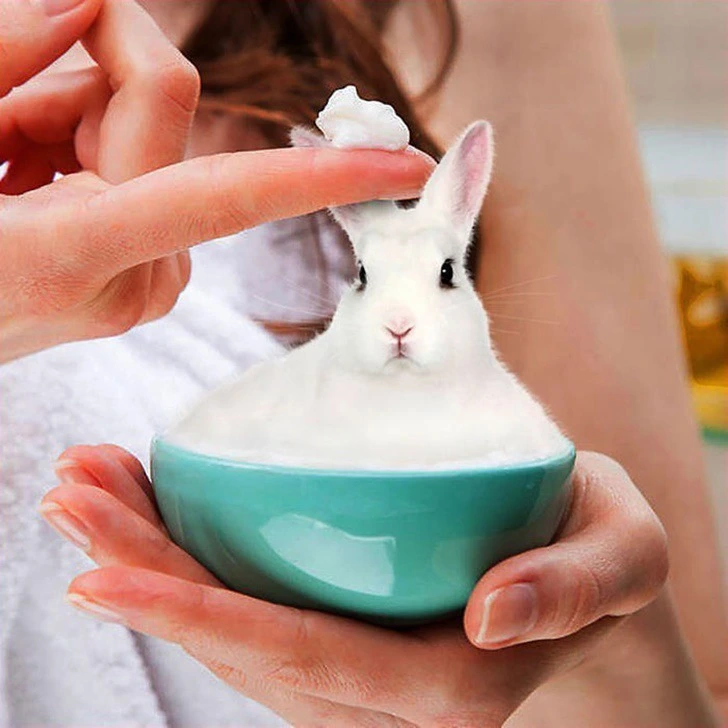 998B0E3B5F222EC5256AFC