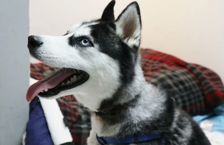 99BE01385FDD76CA17E698