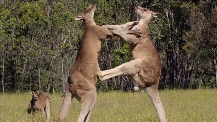 992D6E485D0724241F7D27