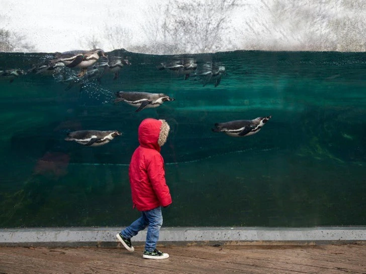 9955E9445F22256C2235E3