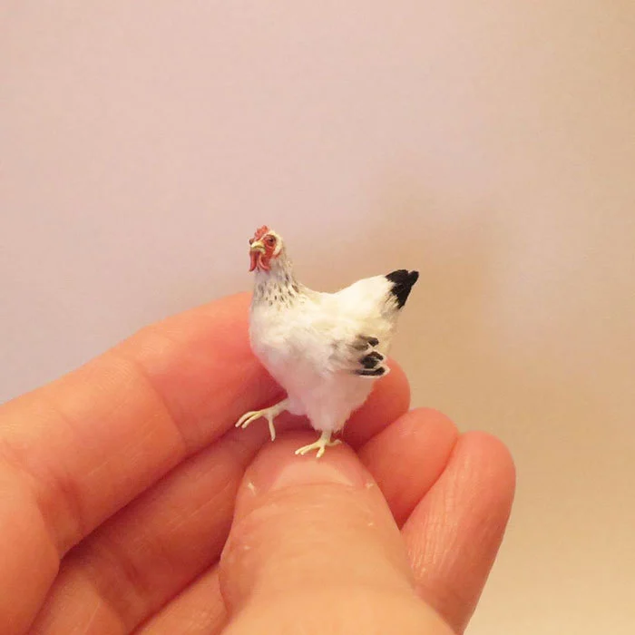 99CC1C365F199B28320950