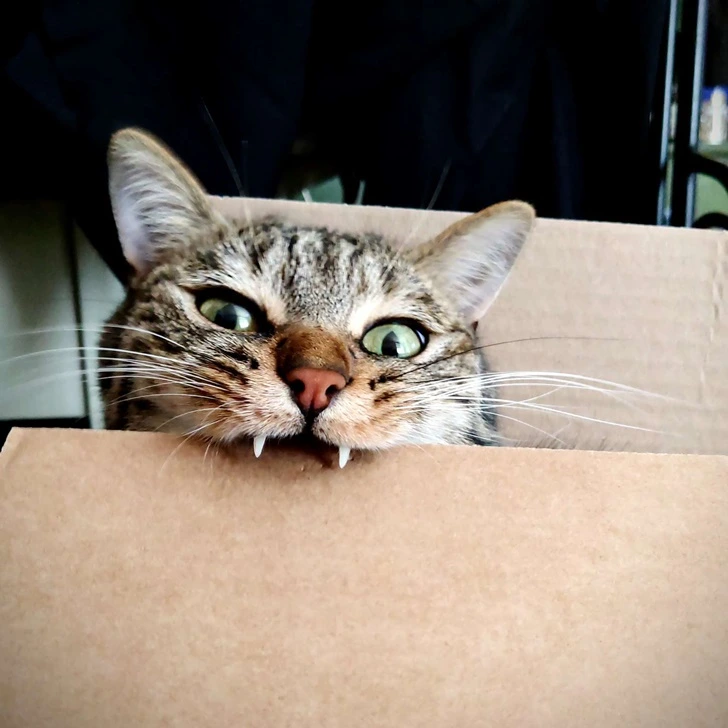 990788495FBE57311307D2