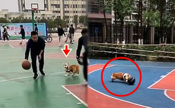 995D553B5FF950560D1BF1