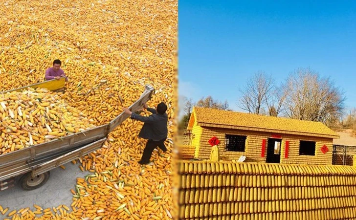 9955F6495FD5AC841EE69B