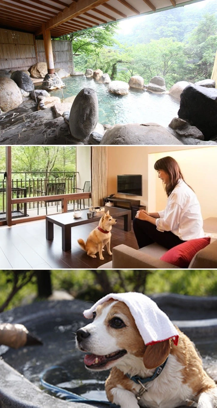 99872A4F5C84DE060F2307