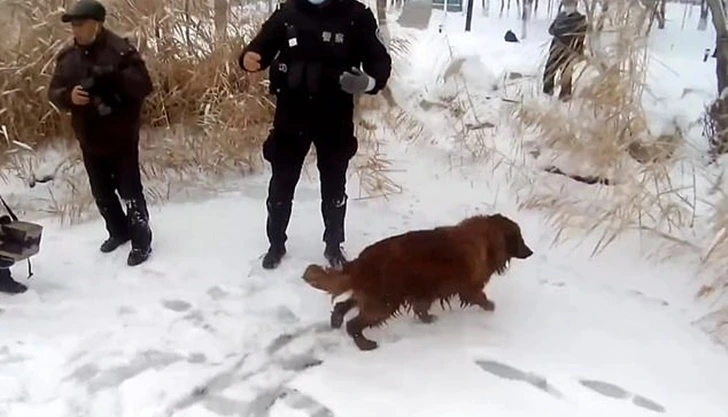 9910EB3A5FE9150405756F