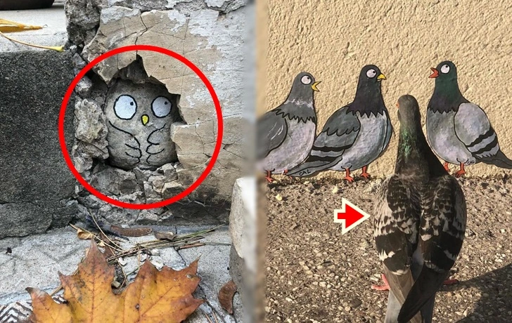 991DA74C5FBD066E079726