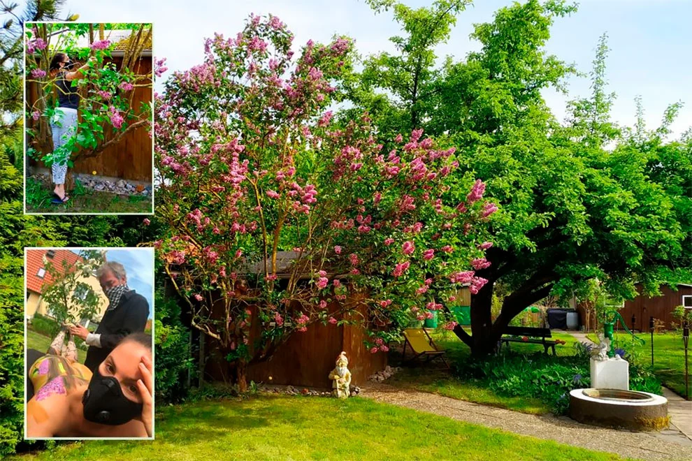 999E5B455F51CF0404A788