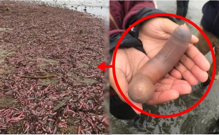 9918C7415FDD894B1ADD3C