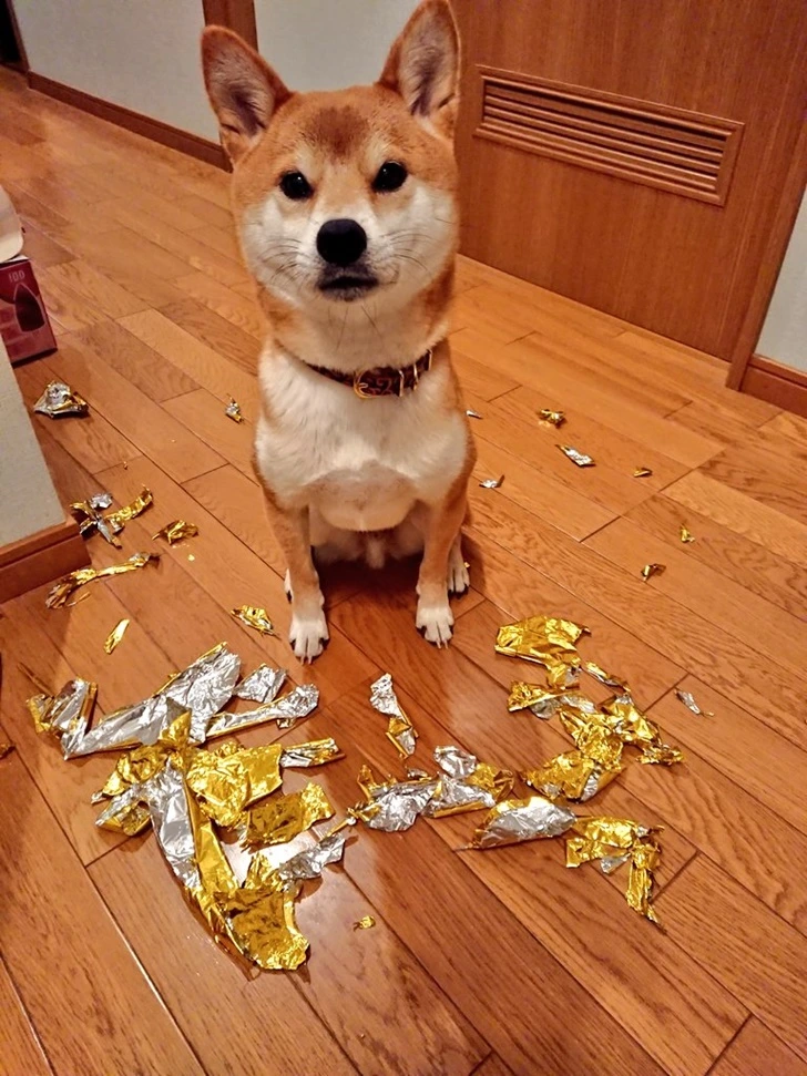 99F580385FF51E890F1FA1