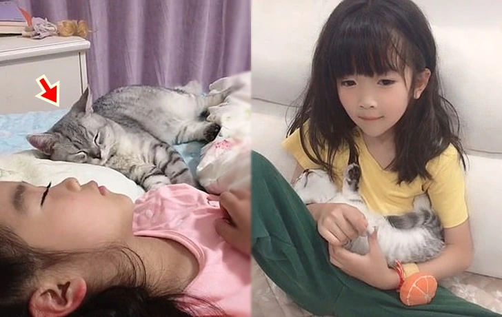 9968083B5FCD71B70D210B