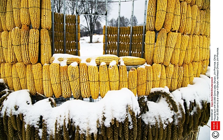 998C87405FD5ACAD1D3D86