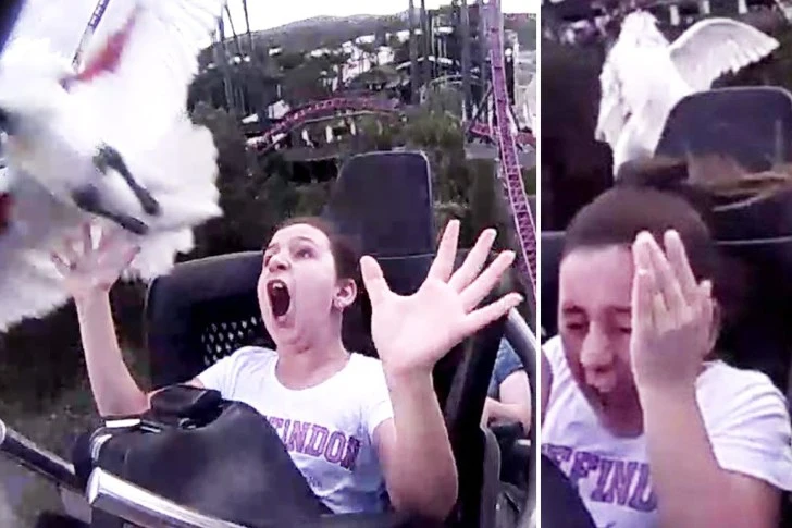 999D8C455D40E66E2A8EF8