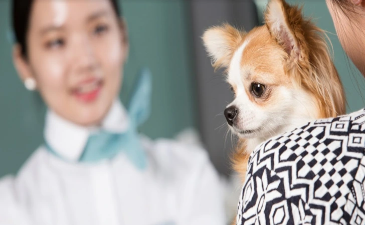 99CFD14A5FF7E0420BF478