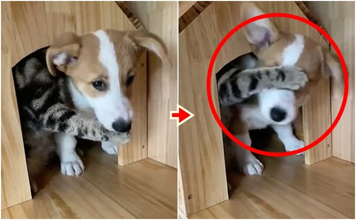 99413D355FD176D7196A15