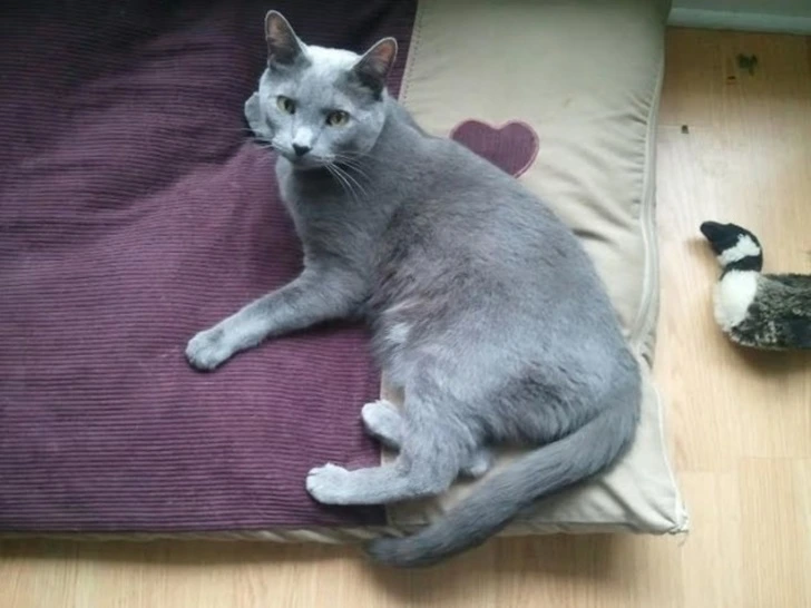 99732B3F5FC6FF0C1881A7