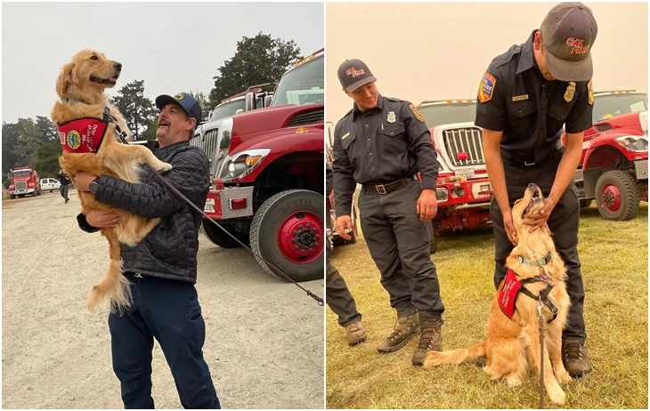 99FBD4355F642FD538E79A