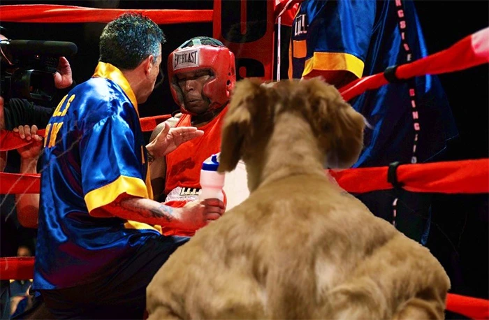 992F43445F2A4DBF0FCE86