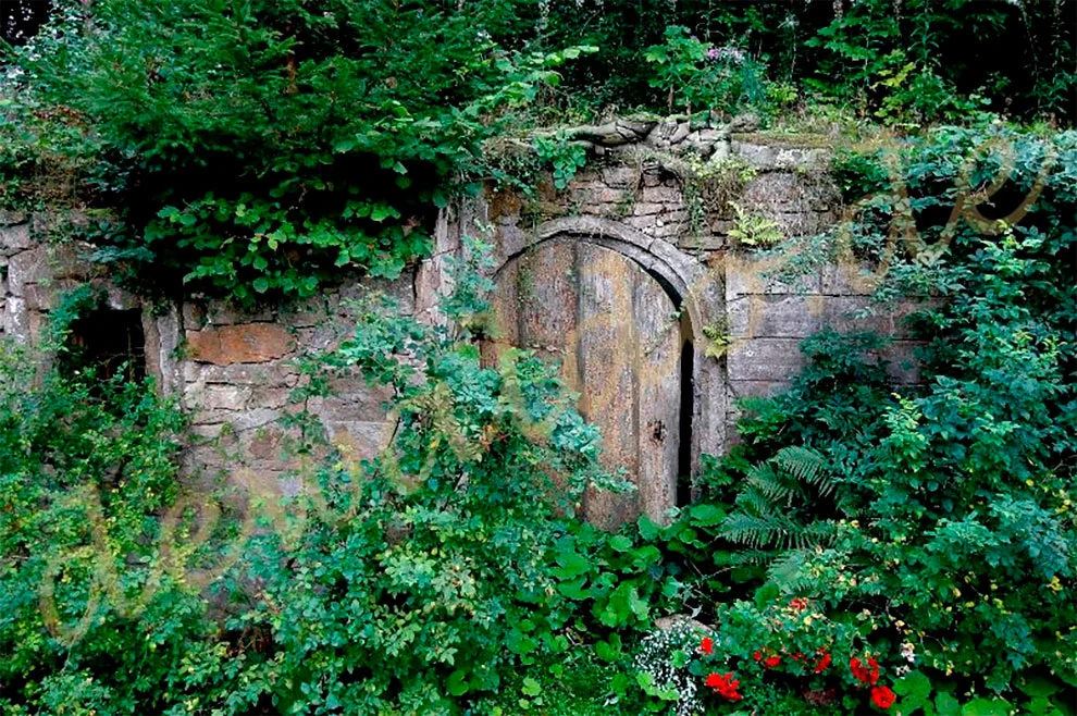 99B75F365F51CF0509321C