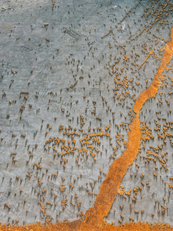 99CB3B4F5F3BDC6D3227B2