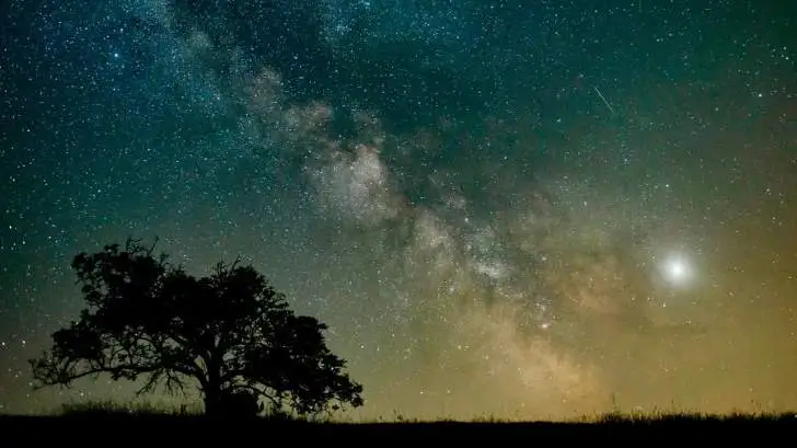 99DE1A455D7338091D1949