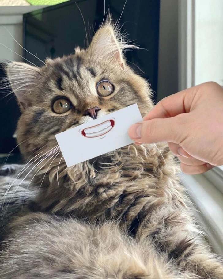 991102355F4D860B103476