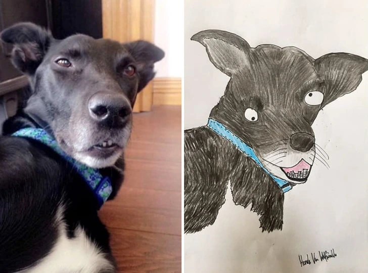 997A144D5F640E03209663