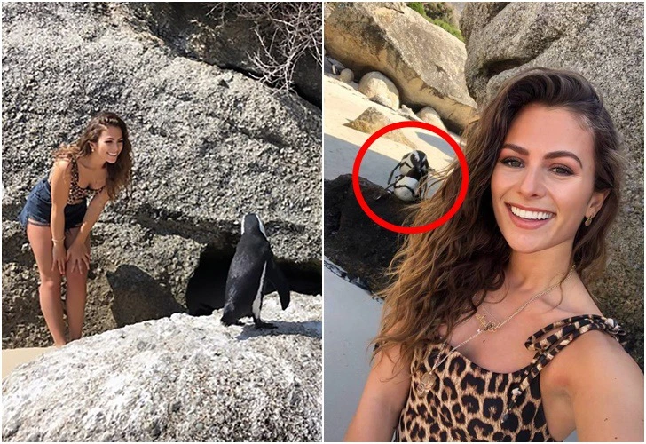 994A07435E310F45262349