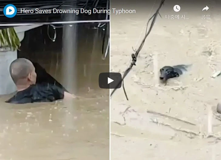 99E634475FB1F8BA1DB3B0