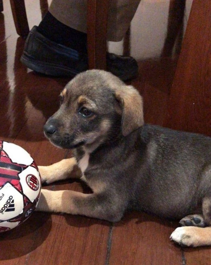 99D096335F64A1751D28FE