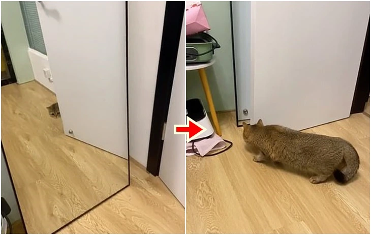 9942713D5FCEE410138786