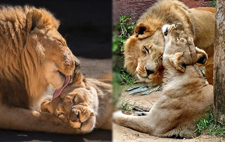 992F41495F281A1F2FA512