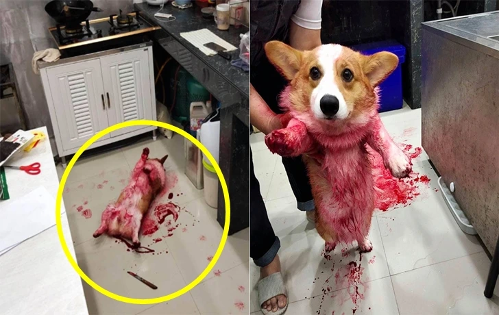 99FCBA3C600E0F570E2218